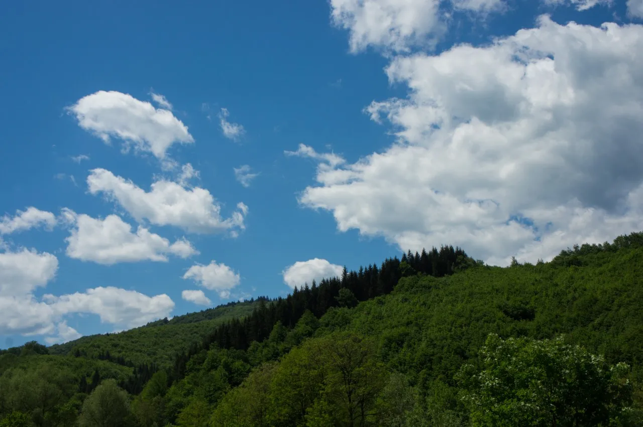 Wooded hills under a summer sky with white clouds.